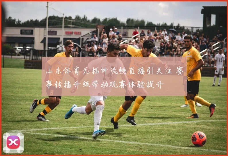 山东体育无插件流畅直播引关注 赛事转播升级带动观赛体验提升